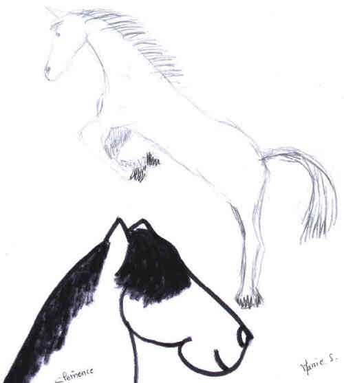 Agrandir (Auteur : Marie S et Clmence)