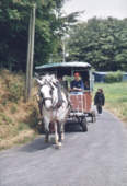 [Photo 12 Promenage en cariole avec Juberte]