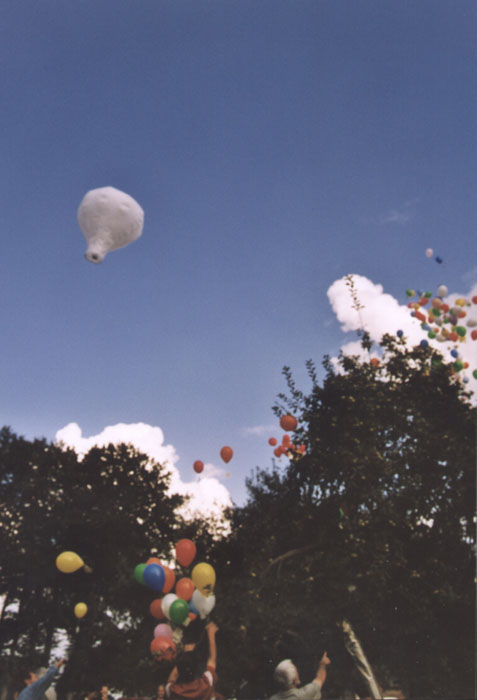 18.2420A