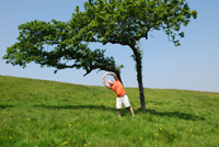 Cliquer pour agrandir la photo